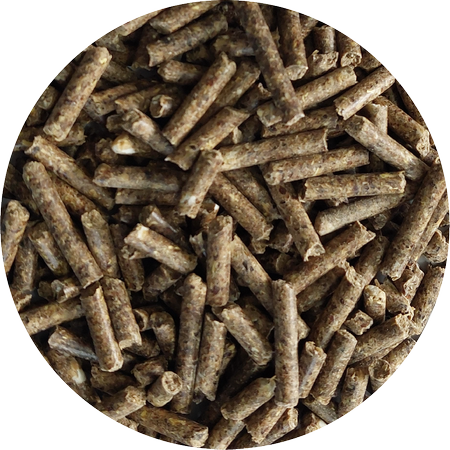 pol_pm_Paleta-BIOFEED-Horse-Pony-Whole-Grain-Pellets-40x-25-kg-347_2.png