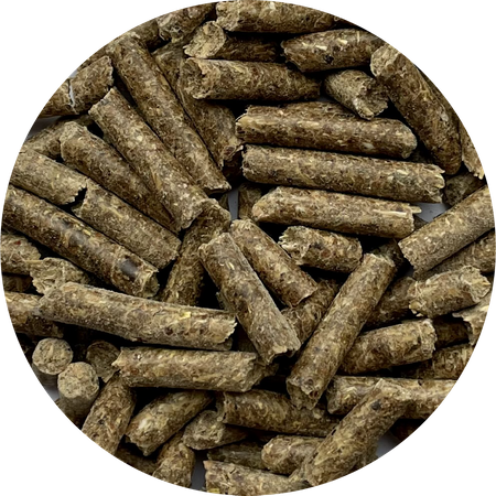 pol_pm_Pasza-dla-koni-granulat-BIOFEED-Horse-Pony-Traditional-Pellets-25-kg-19_3.png