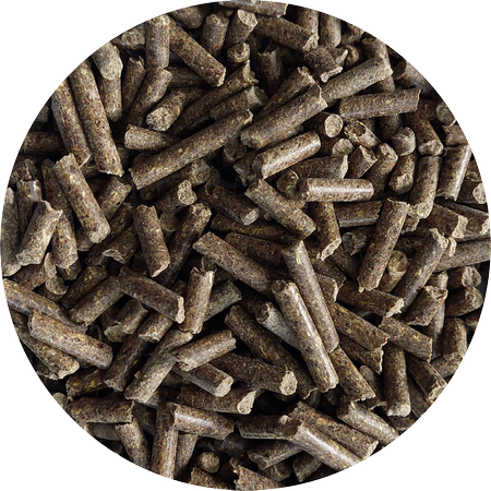 pol_pm_Paleta-BIOFEED-Horse-Pony-Sensitive-Pellets-Grain-Free-40x-25-kg-346_2.png