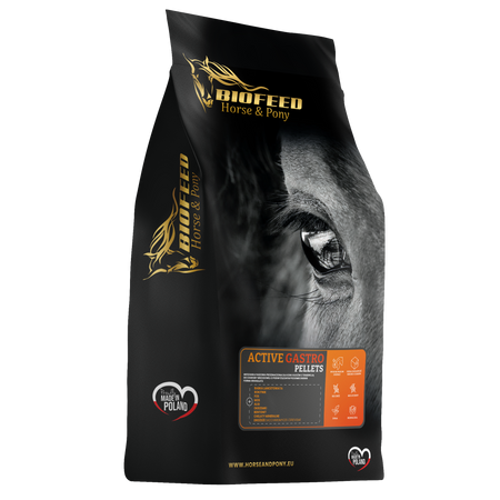 pol_pm_Paleta-BIOFEED-Horse-Pony-Active-Gastro-Pellets-40x-25-kg-340_1.png