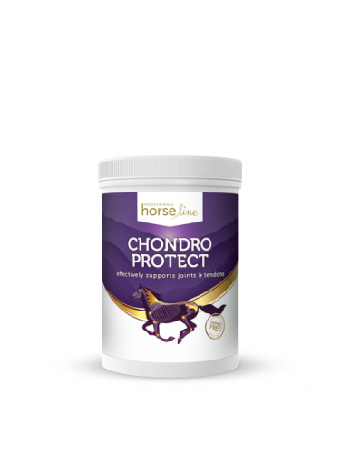 horselinepro-chondroprotect-900g-kegel-horses.jpg
