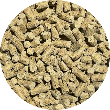 pol_pm_BIOFEED-Horse-Pony-Strong-Bones-900-g-sloik-PET-26_2.png