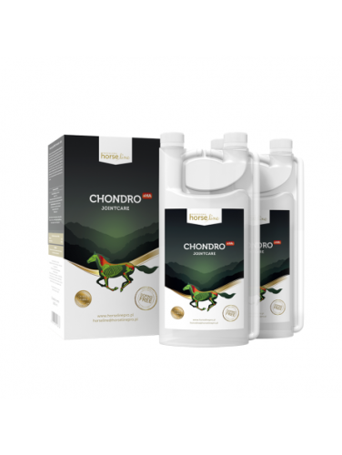 horselinepro-chondroha-2-x-1000ml-kegel-horses.jpg