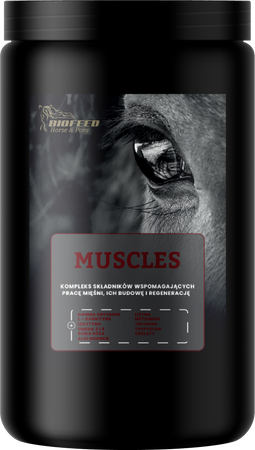 pol_pm_BIOFEED-Horse-Pony-Muscles-1000-g-sloik-PET-69_1.png
