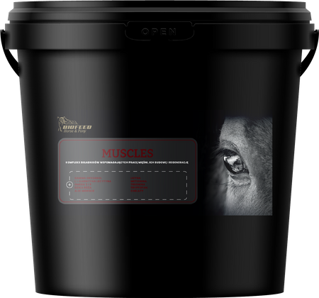 pol_pm_BIOFEED-Horse-Pony-Muscles-6-kg-70_3.png