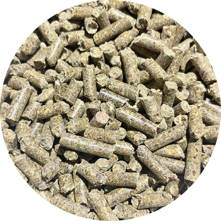 pol_pm_BIOFEED-Horse-Pony-Respiration-900-g-sloik-PET-24_2.png
