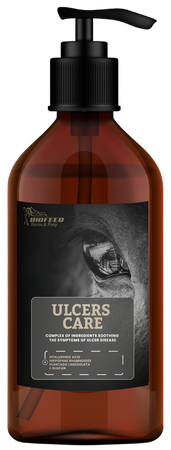pol_pm_Suplement-dla-koni-wrzodowych-BIOFEED-Horse-Pony-Ulcers-Care-1-l-223_1.png