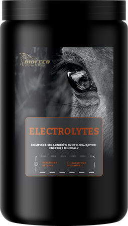 pol_pm_Elektrolity-dla-koni-BIOFEED-Horse-Pony-Electrolytes-900-g-sloik-PET-67_1.png