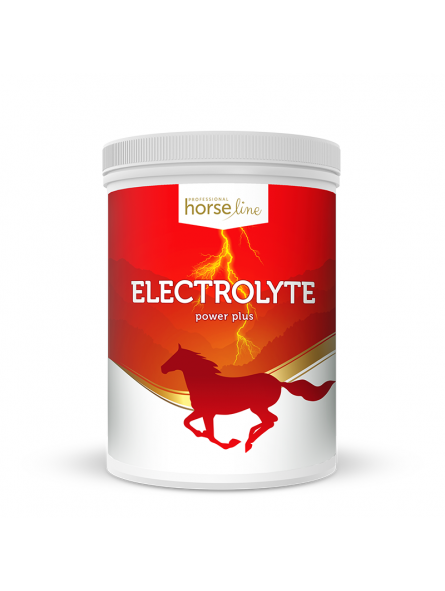 horselinepro-electrolyte-1500g-kegel-horses.jpg