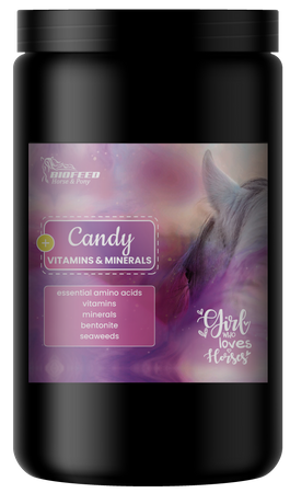 pol_pm_BIOFEED-Horse-Pony-Candy-Vitamins-Minerals-900-g-sloik-PET-220_1.png
