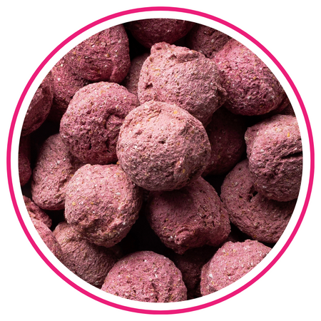 pol_pm_BIOFEED-Horse-Pony-Candy-Cookies-Raspberry-Strawberry-with-beetroot-300-g-295_1.png