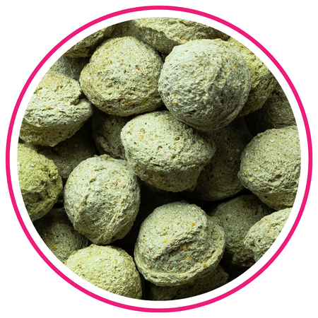 pol_pm_BIOFEED-Horse-Pony-Candy-Cookies-Apples-with-spirulina-300-g-293_1.png