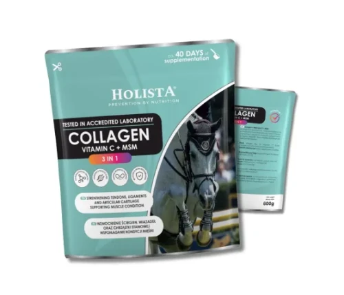 kolagen-3w1-msm-c-600g.jpg