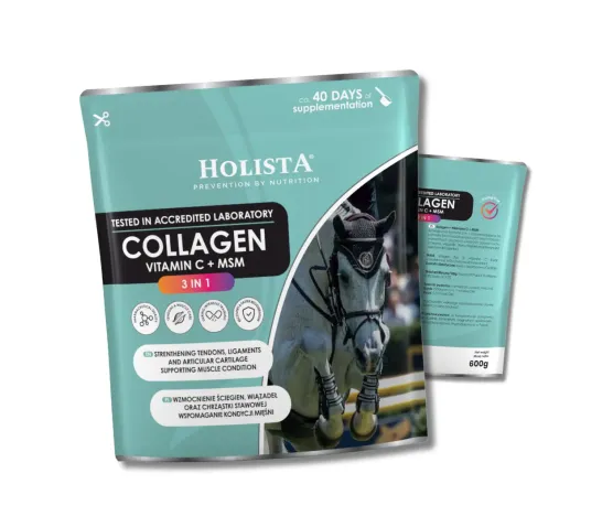 kolagen-3w1-msm-c-600g.jpg