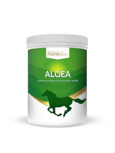 horselinepro-algea-1500g-kegel-horses.jpg