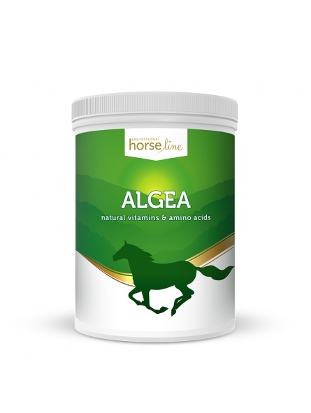 horselinepro-algea-1500g-kegel-horses.jpg