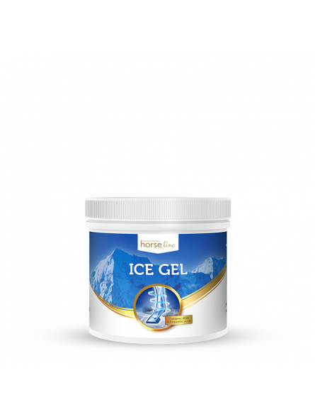 horselinepro-icegel-650ml-kegel-horses.jpg