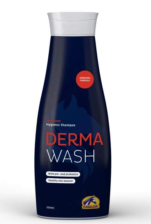 szampon-hipoaergiczny-DERMAWASH_500ML_packshot_RGB.png