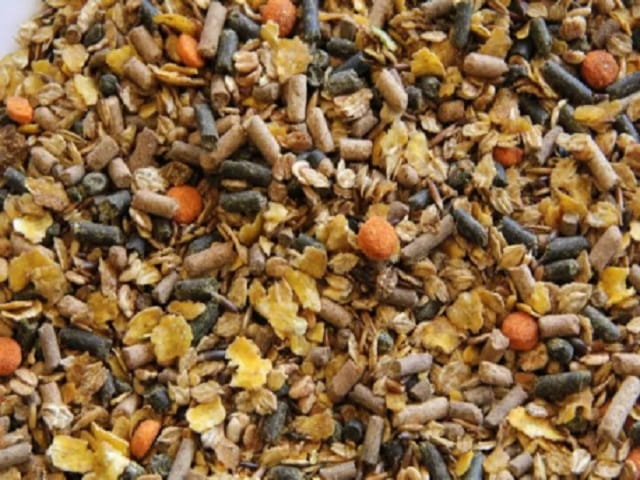 Senior-Muesli-20kg-musli-dla-koni-starszych-pracujacych