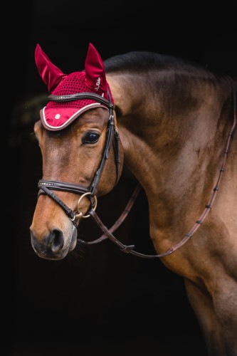 58b705559646532bdb9bbe7f9b80fcd3