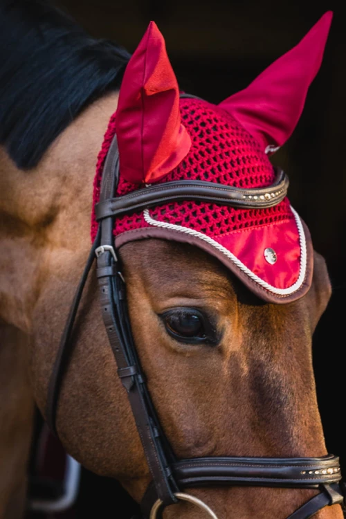 ea77f1d3b184f6b5b78f70c09ea69e74