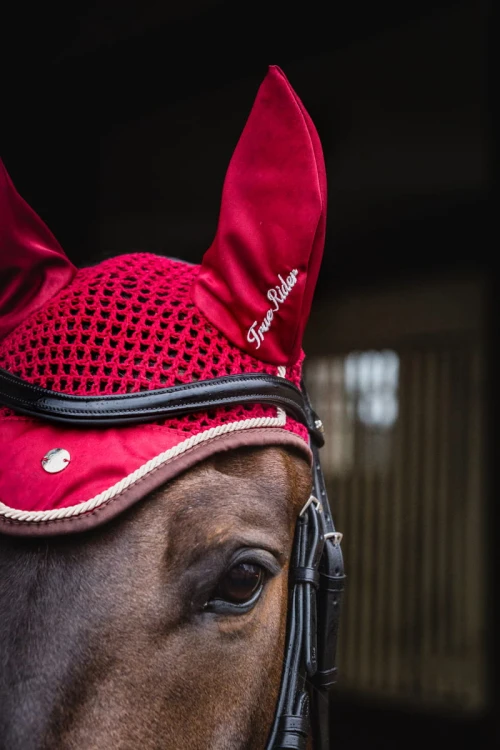 c2139c597c554eaefd1eb4c10a0aff8d