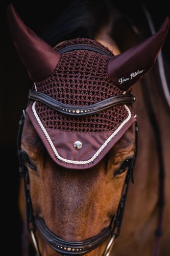 a17b96ed5ce337a8b65a6c5a9513d106