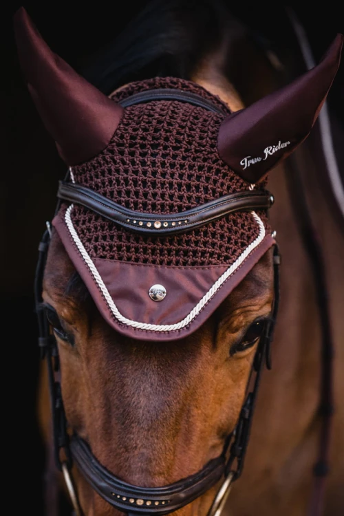 a17b96ed5ce337a8b65a6c5a9513d106