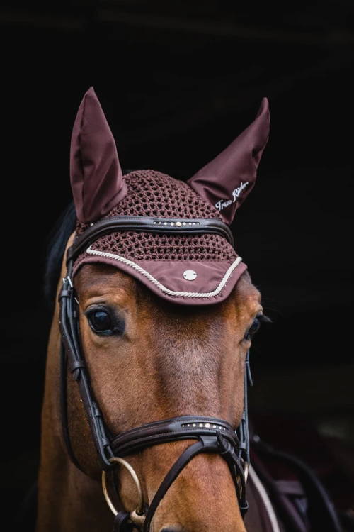 037ca28bbb5cd9386375979975ec1441