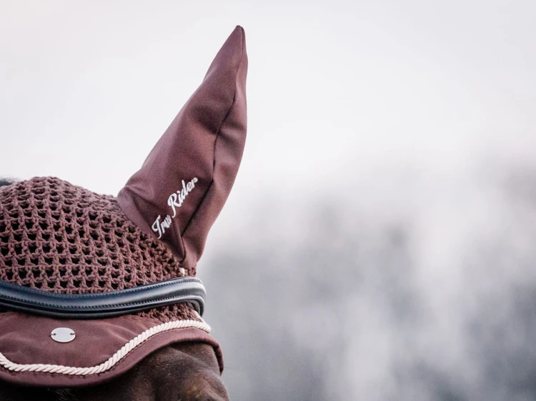 11aafa553f5e9100123581d55fc02bf7