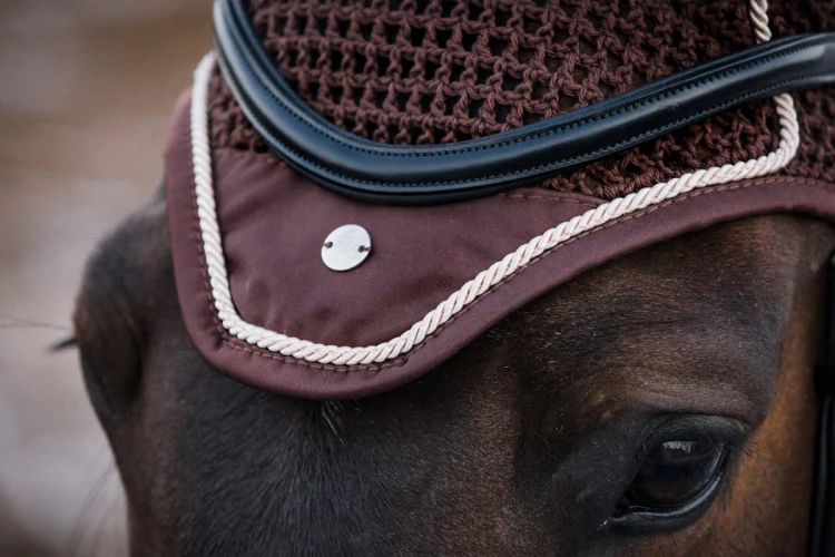 e6bdb0481b71618d40ca86b664b413b1