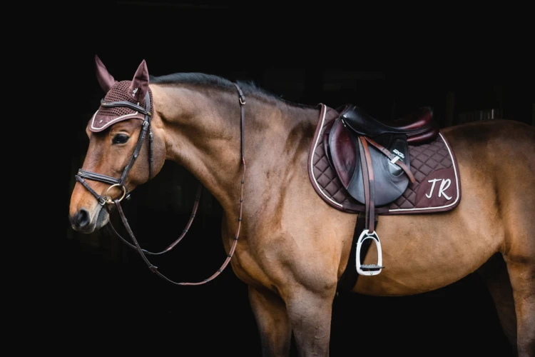 8126d992c47e106cf4eb21dd7d351f89