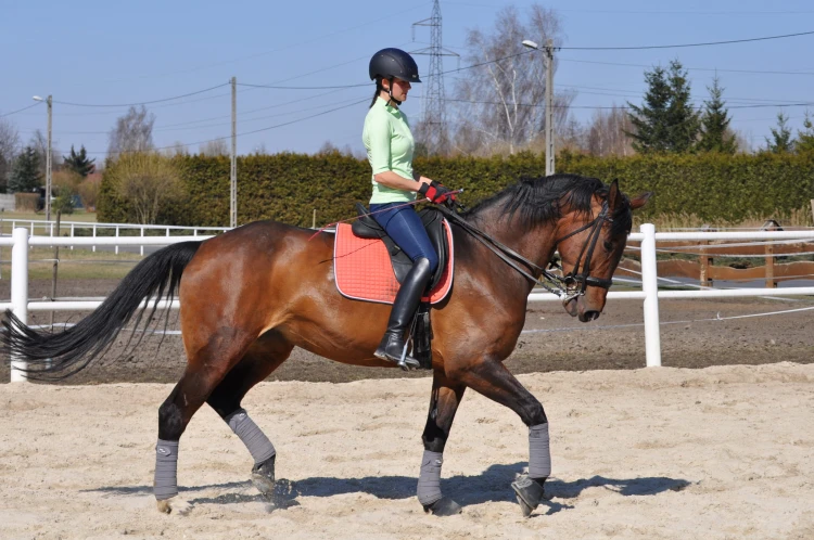 a63272c689b8a2d1ea12acf15442d5f2