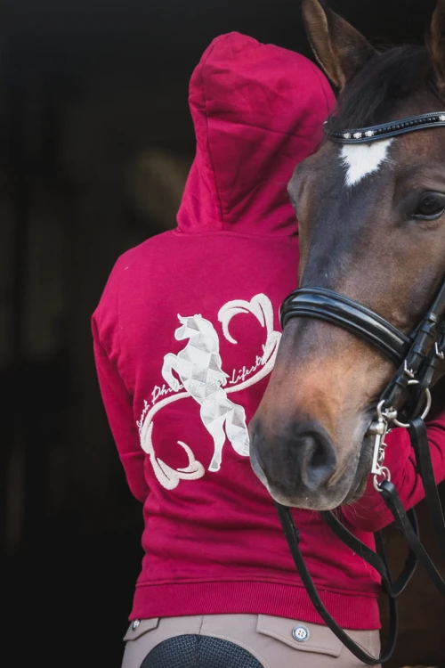 421331a49a52adf2be216d86e28ed92b