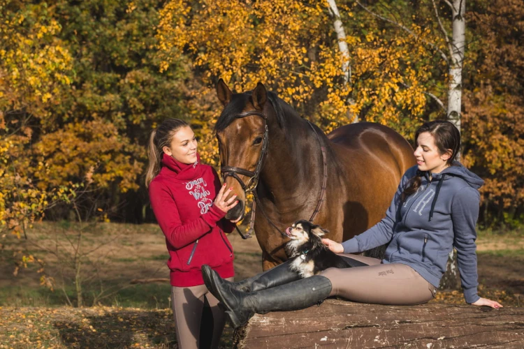 14ac8fb7d41f056592cc98aaa533b5ed