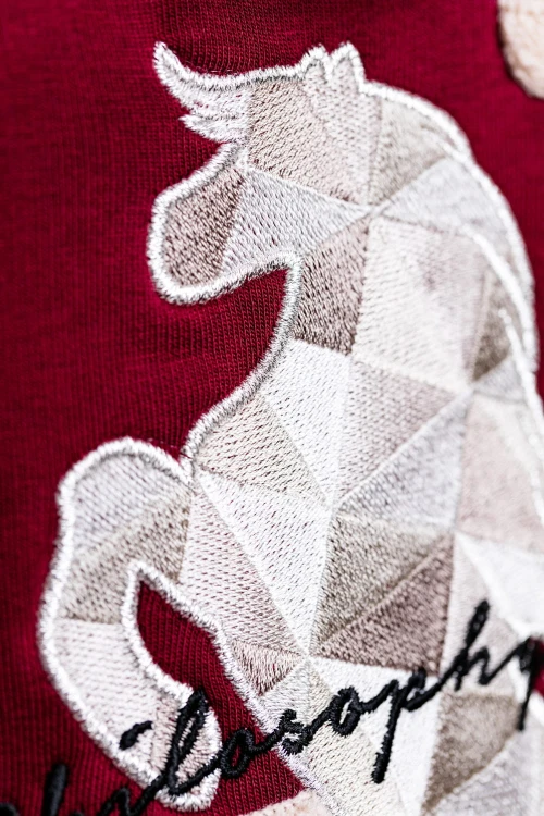 ca77dfaf33886d05287247149cd59743