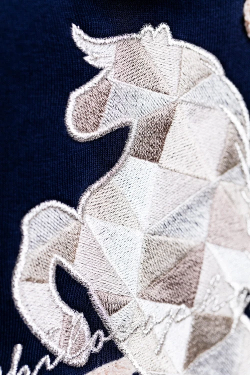 0f4fed705f012529fe45909e8815ac47