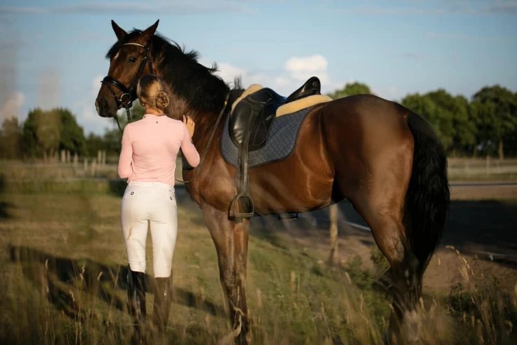 ffd128bf6f964287a3a84df4ad4dc8cd