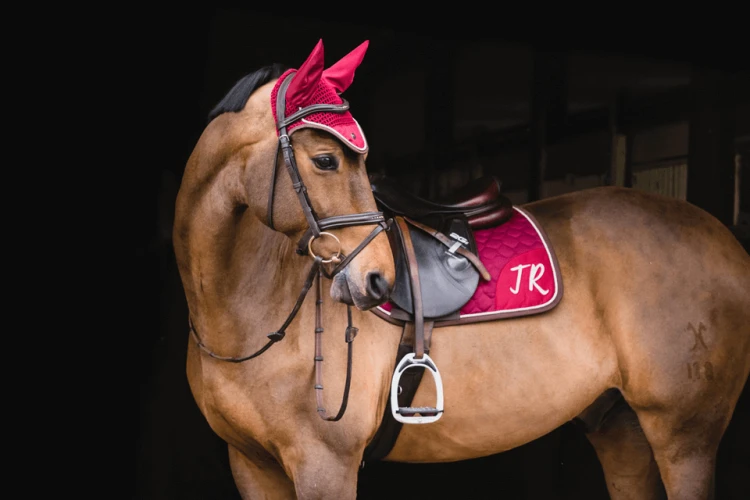 56ad1e8eae1a0125d62db435279efc64