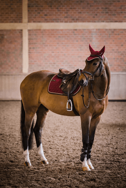 438014c939e340378386d43e50b51885