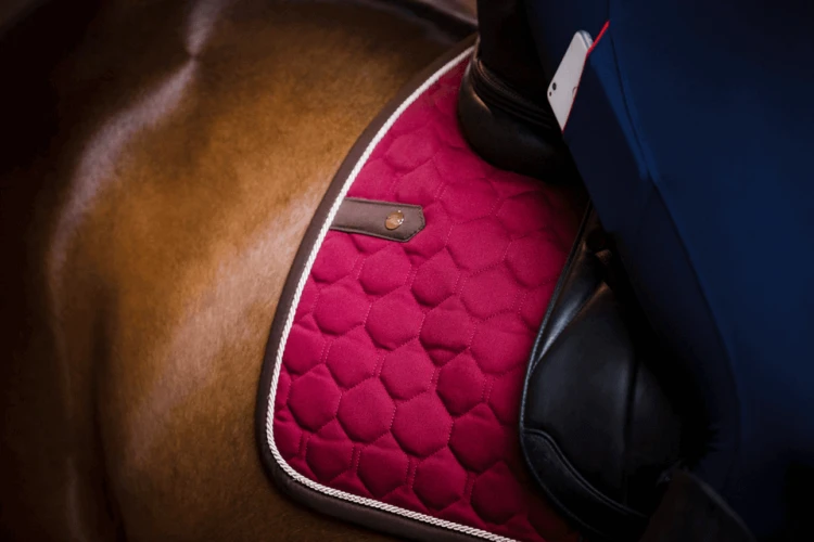 dbc0414281d3589f08b5f8827c2d1dca