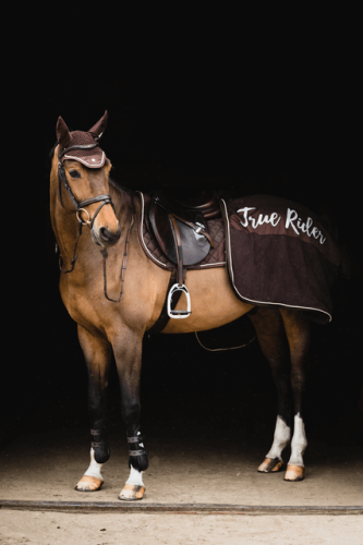 957d29bb8a209496a06f65aa28a951be