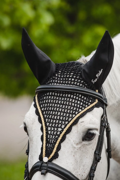 8bc8a474ba340548984caab3e7d53191