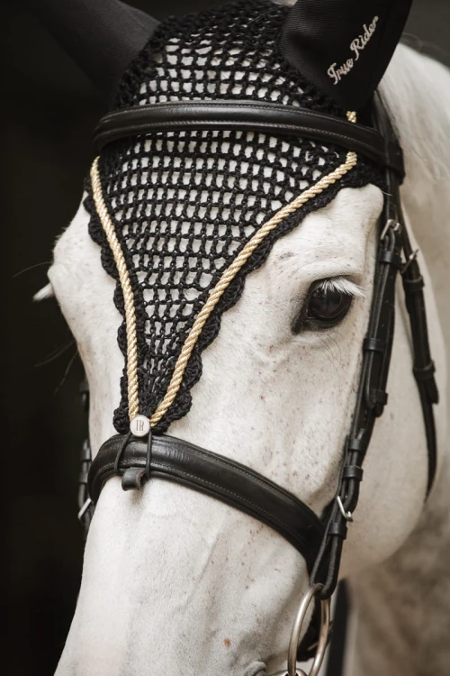 473a4942d692c9437a1506db538360c0