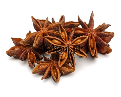 EQUIHERBS ANYŻ - kegelhorses