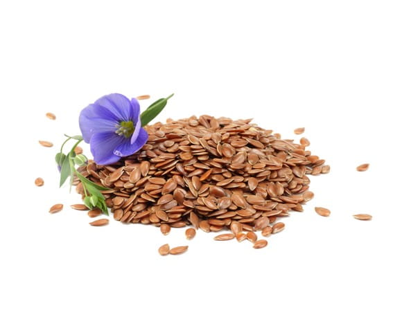 EQUIHERBS SIEMIĘ LNIANE  - kegelhorses