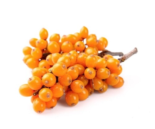 EQUIHERBS ROKITNIK SUSZONY CAŁY OWOC - kegelhorses