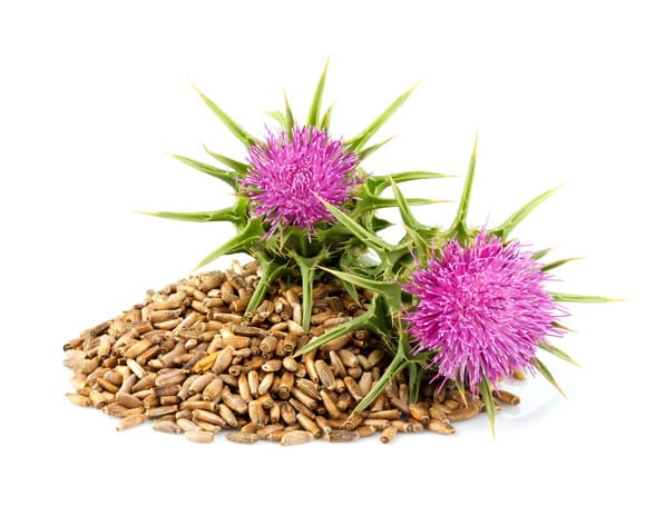 EQUIHERBS OSTROPEST PLAMISTY - kegelhorses