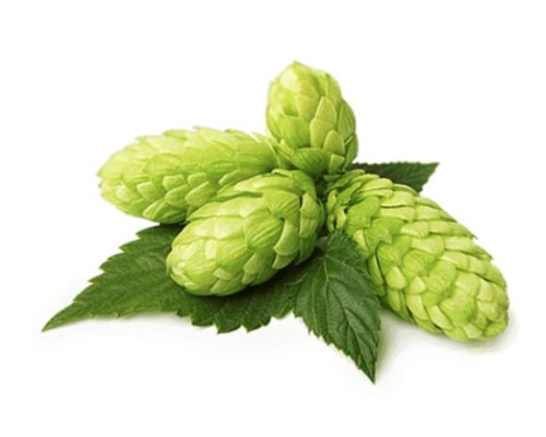 EQUIHERBS SZYSZKI CHMIELU -kegelhorses