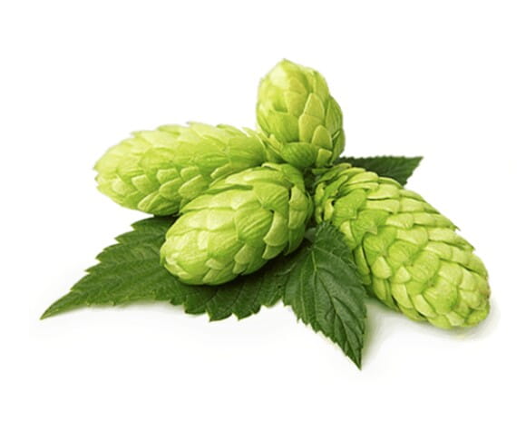 EQUIHERBS SZYSZKI CHMIELU -kegelhorses